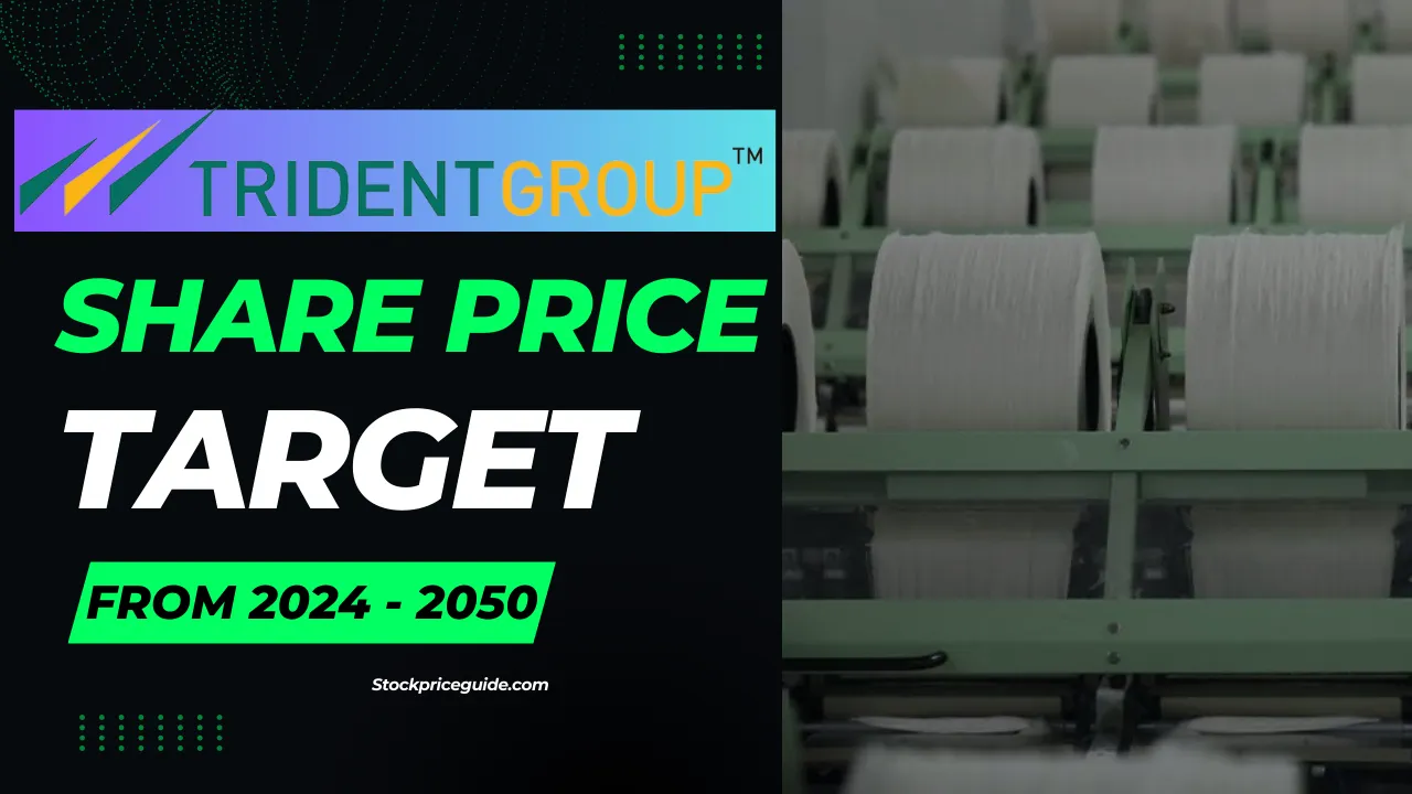Trident Share Price Target 2024